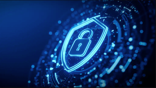 Barapk Org: An Overview of Its Features and Digital Presence
