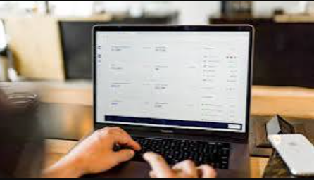 Barapk Org: Understanding Visitor Interest and Digital Exploration